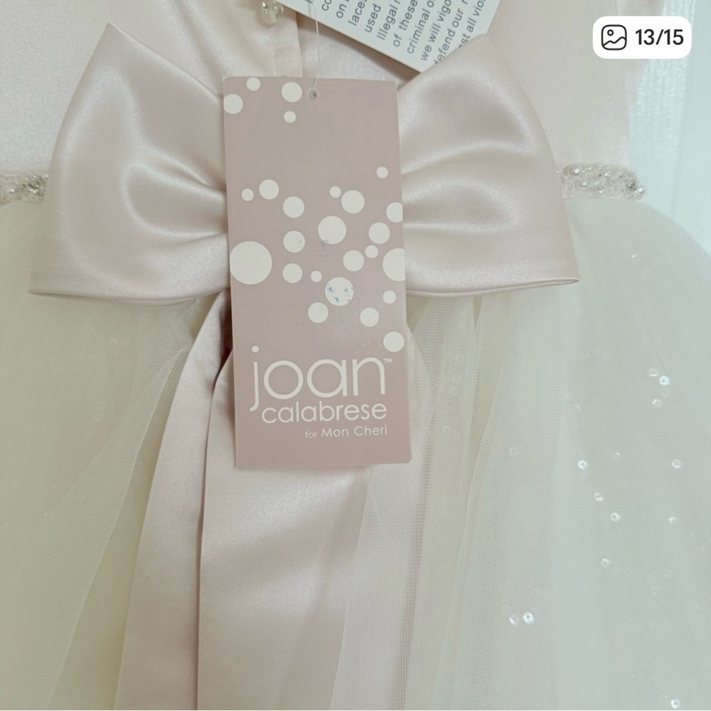 Stunning Joan Calabrese for Mon Cherri Flower Girl Dress in Ivory/Petal size 7 - Picture 14 of 15